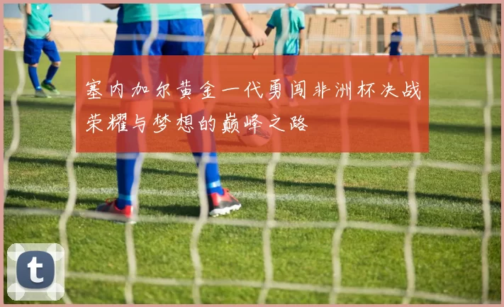 塞内加尔黄金一代勇闯非洲杯决战荣耀与梦想的巅峰之路